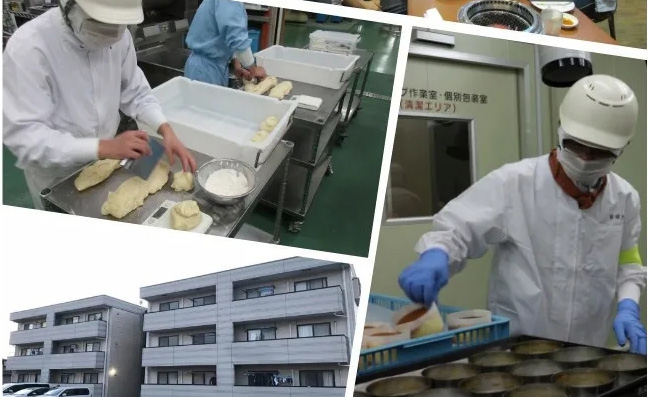 日本2020年8月新單匯總！